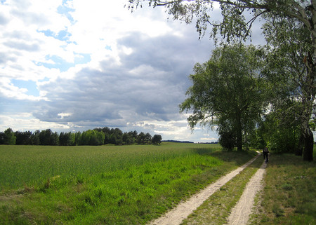 Rad- und Wanderwege in unmittelbarer Umgebung