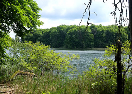 Rundwanderweg um den Wummsee