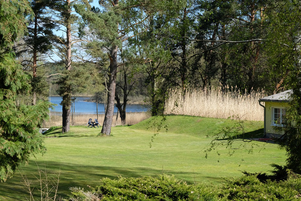Große Wiese mit Blick auf den See