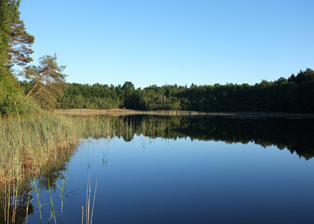 Blick über den Kapellensee