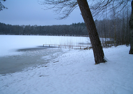 Winter am Kapellensee