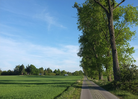 Weg zum nächsten Ort Repente