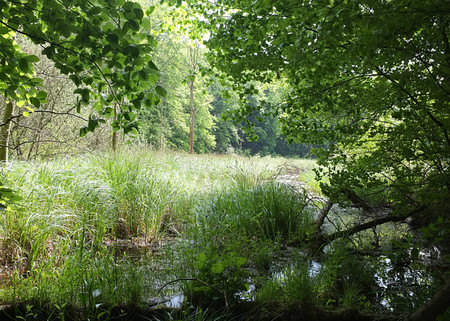 Kleiner Wummsee