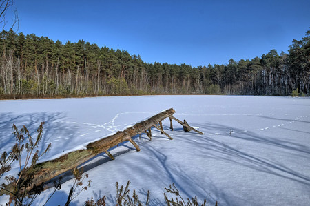 Spaziergang auf der zugefrorenen Moorlandschaft