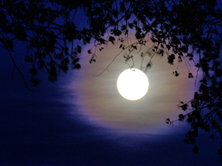 Aufgehender Mond am Sonnenweg