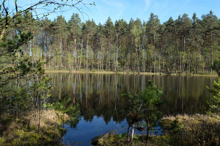 Die ökologisch einmalige Moorlandschaft in unmittelbarer Nähe